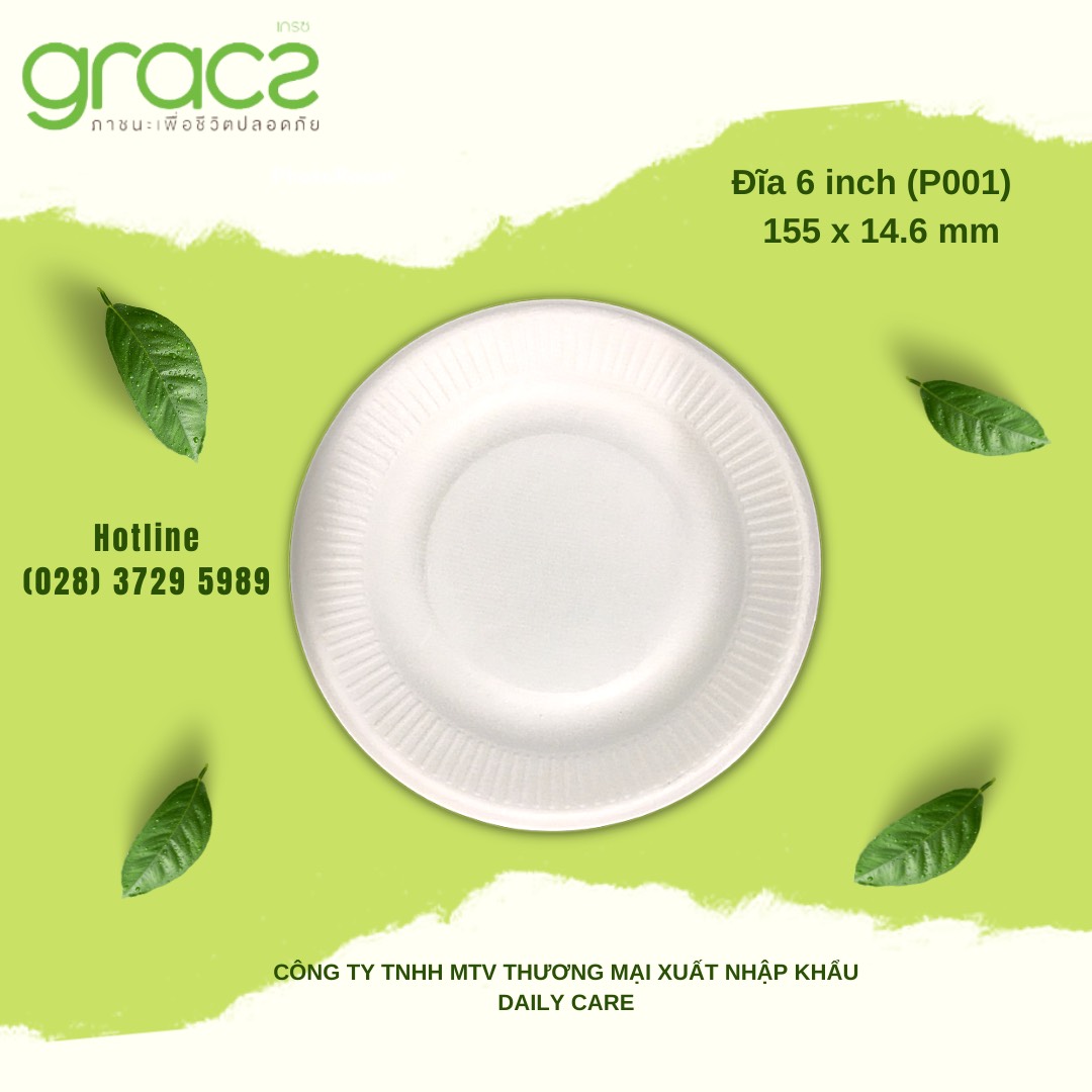 20 Đĩa bã mía Thái Lan 6 inch ~15cm (trắng)