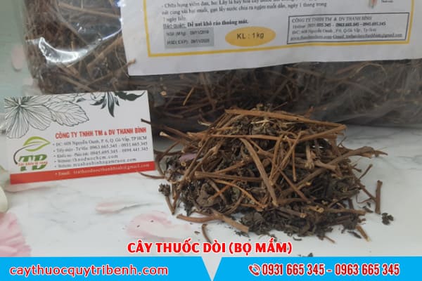 Cây Thuoc Dòi Khô 1KG (Cây Bọ Mắm) - Thảo Dược Thanh Bình