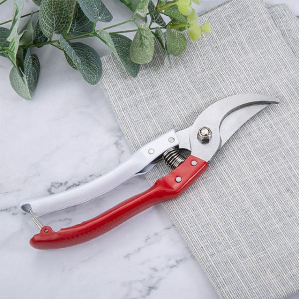 Kéo cắt cành v7 cán trắng đỏ 200mm thép sk5 siêu sắc, ben - kéo cắt cành cây, tỉa cành cây tặng lò xo dự phòng