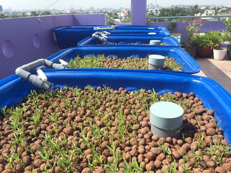 Viên Đất Nung 10-20mm SFARM
