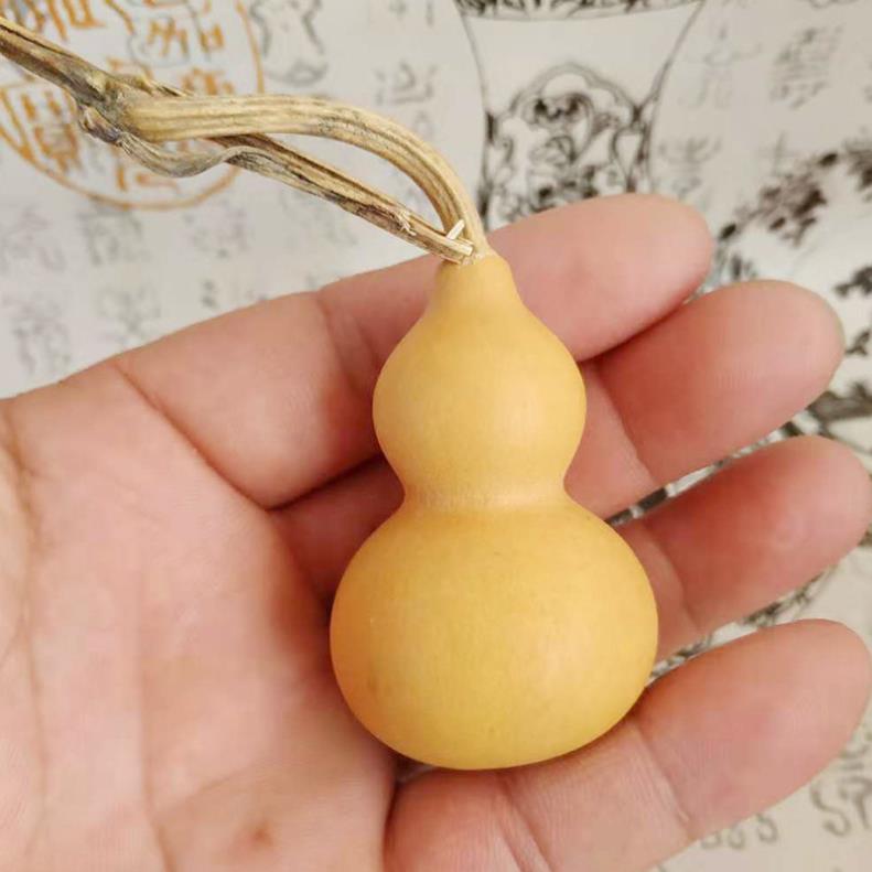 Bầu hồ lô mini trang trí hoặc gieo hạt