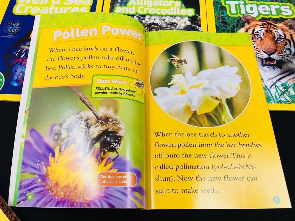 National Geographic 25 cuốn level 2
