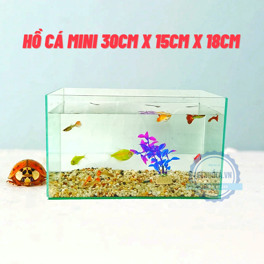 Hồ cá mini [30cm x 15cm x 18cm] để bàn tặng phụ kiện