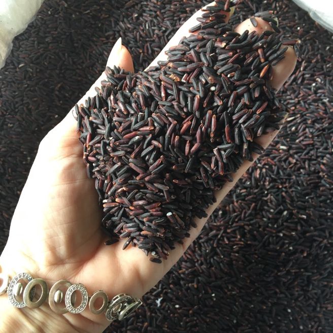 1kg gạo nếp cẩm gạo tím than