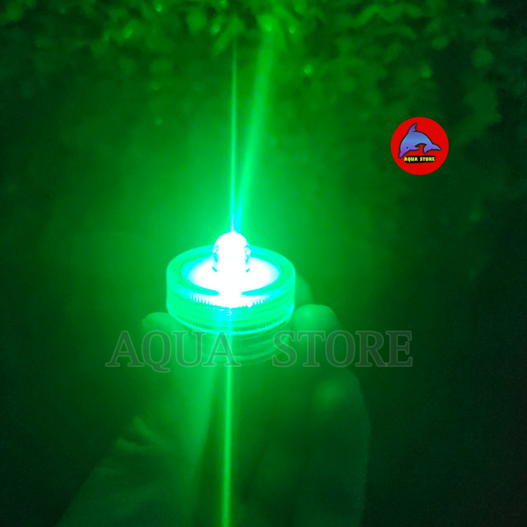 Đèn Led mini dùng Pin - đèn trang trí hồ cá tiểu cảnh