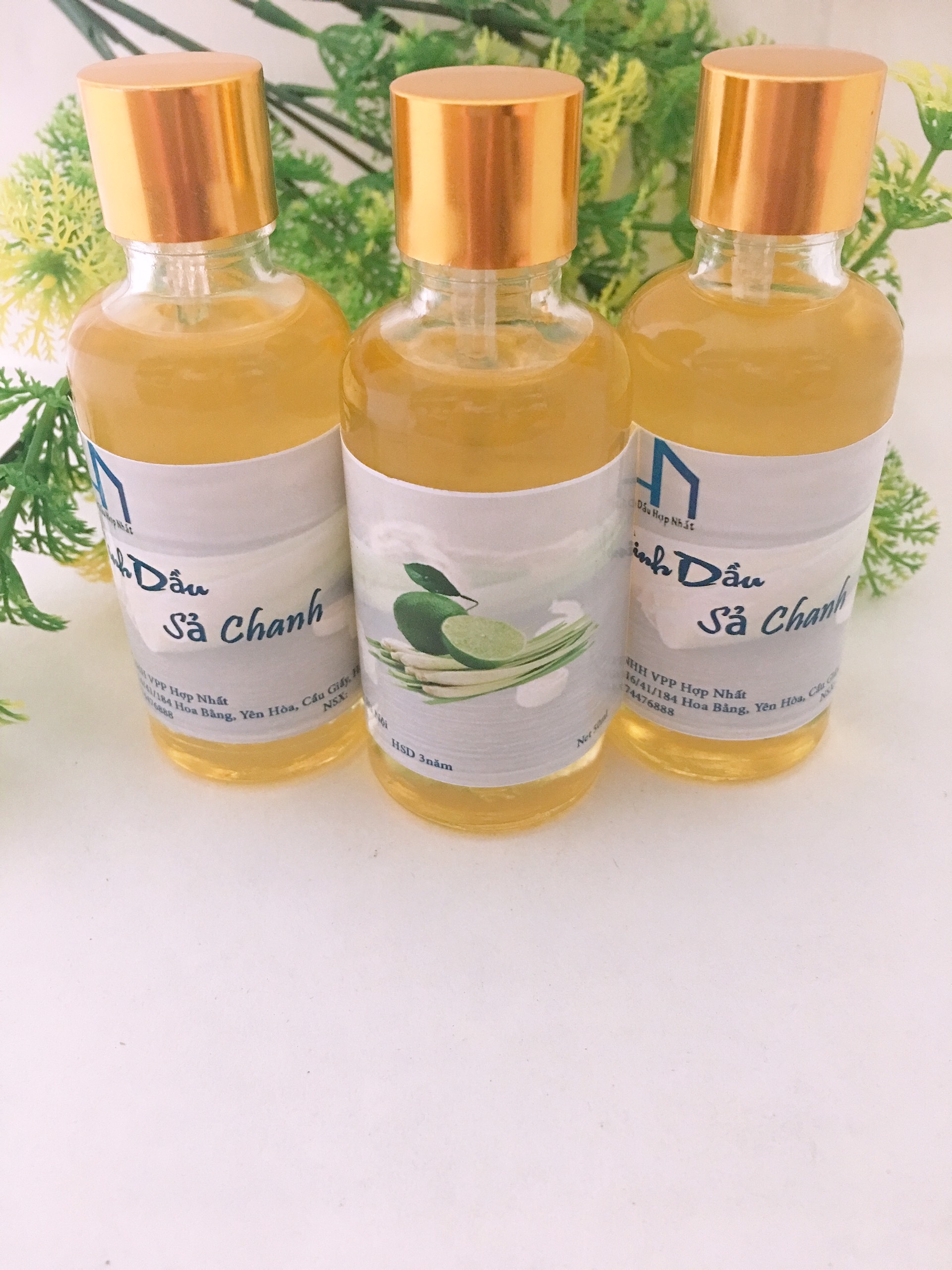 Tinh dầu Sả Chanh nguyên chất  lọ 50ml