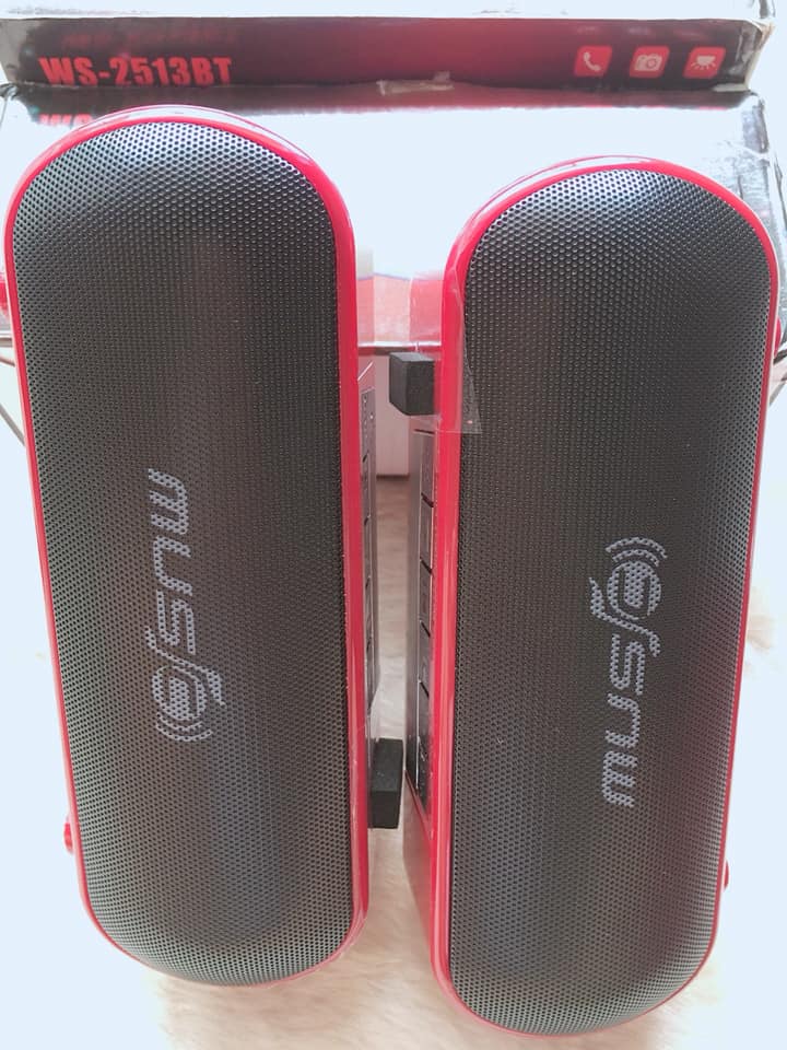 Loa Bluetooth WSTER WS 2513B siêu phẩm âm thanh cực đỉnh