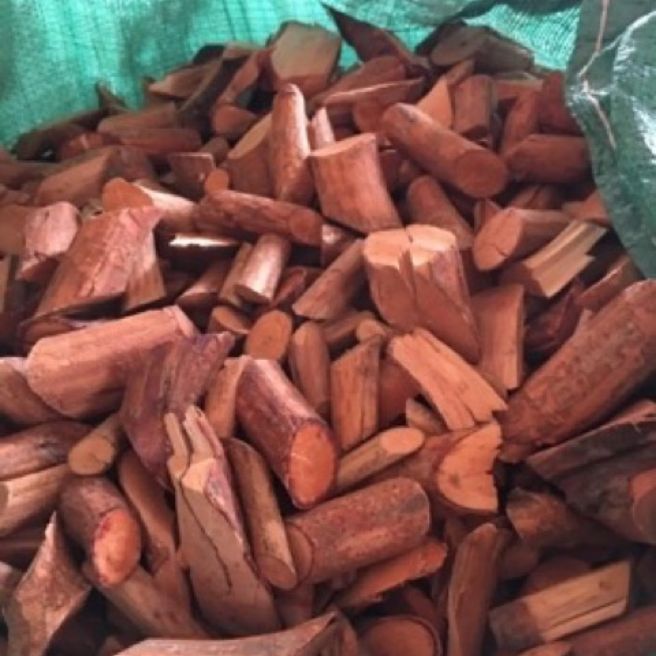 Sỉ toàn quốc 1kg cây mú từn