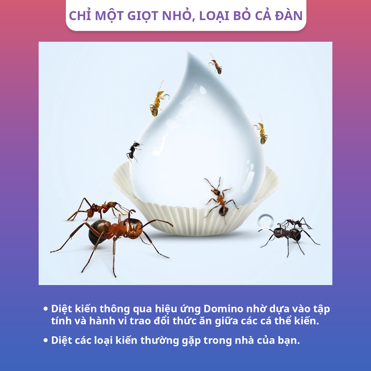 Gel Diệt Kiến Maxforce Quantum Chính Hãng