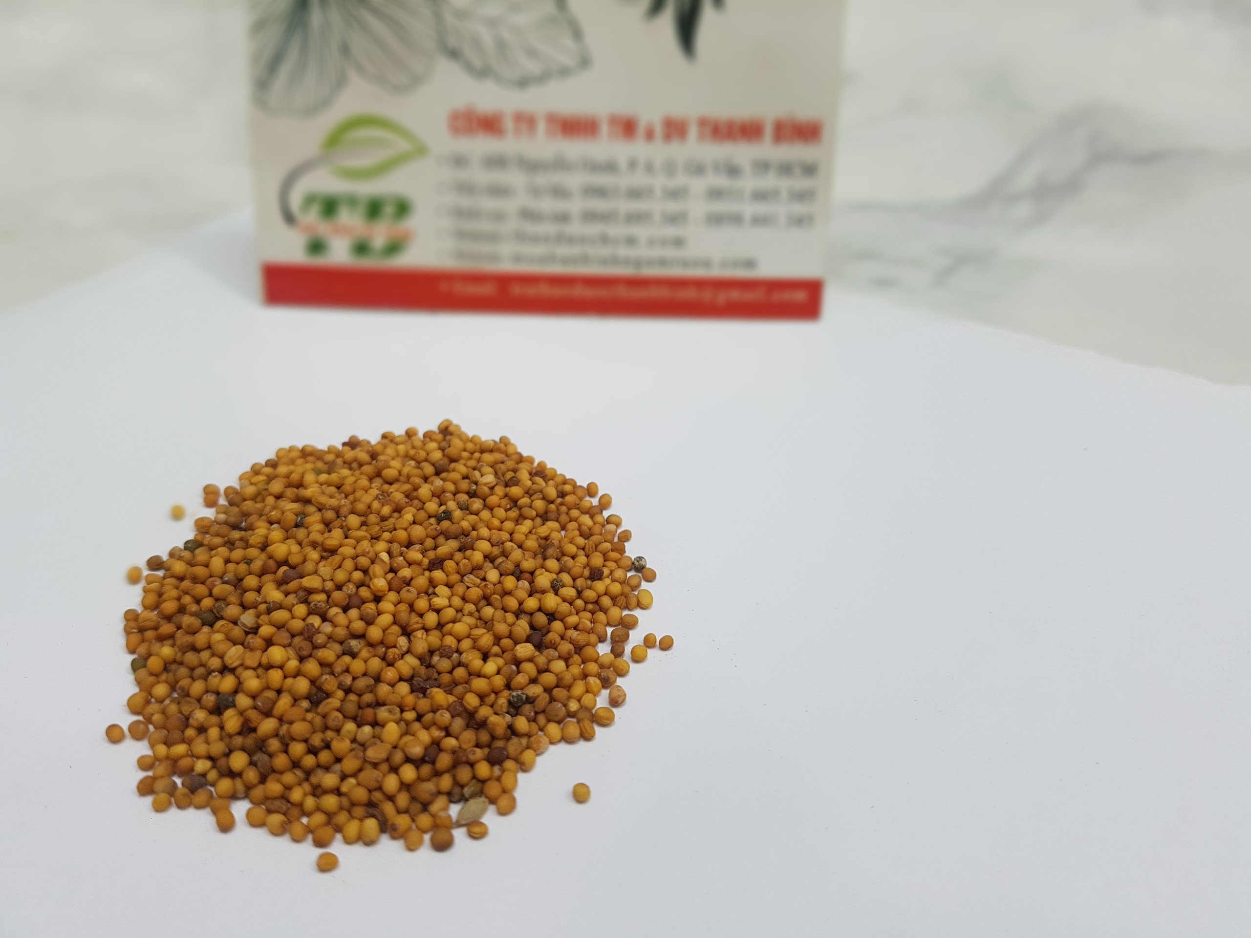 Bạch Giới Tử 1KG Khô - Dược Liệu Thanh Bình