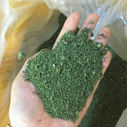 1kg nụ tấm tam thất