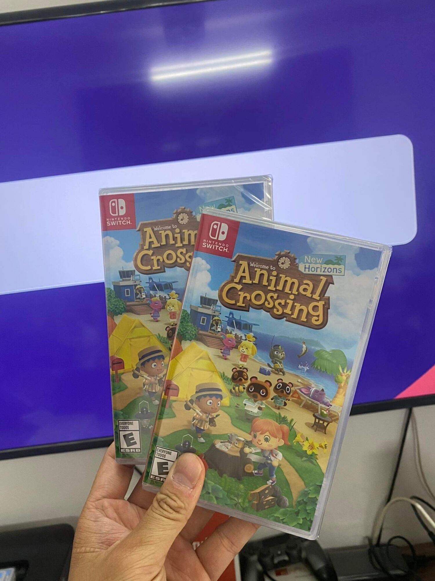 Băng chơi game Nintendo Switch: Animal Crossing New Horizons