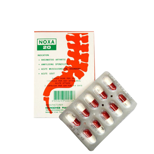 Xương khớp Thái Lan Noxa 1 lố 12 hộp