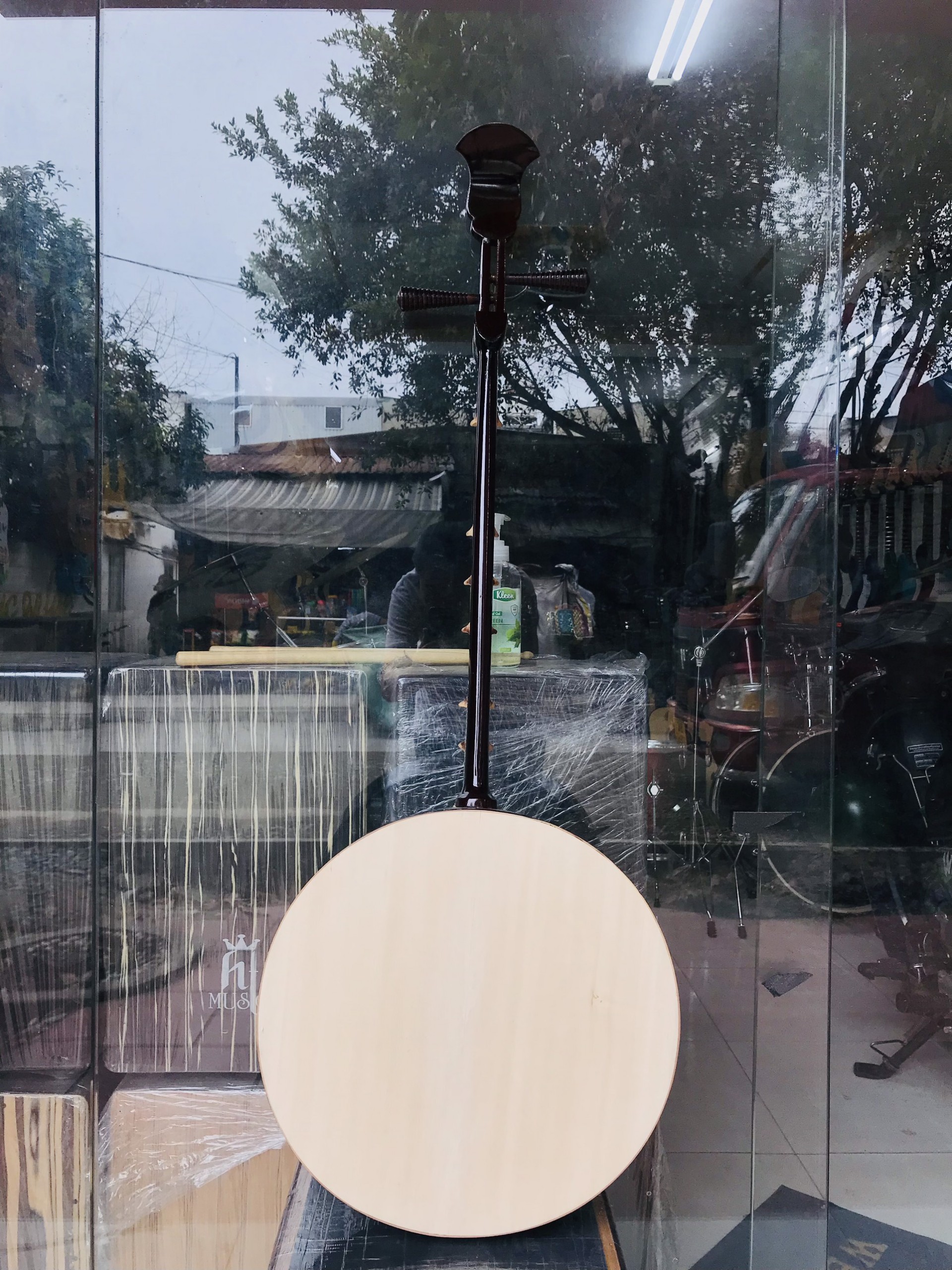 [HCM]Đàn nguyệt miền nam 8 nốt