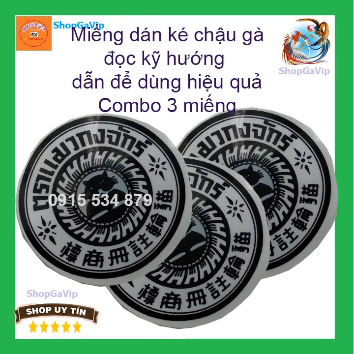 miếng dán ké chậu gà đá 1 miếng [ShopGaVip]
