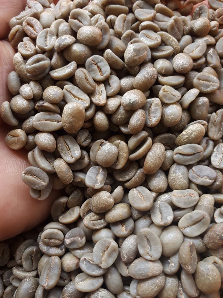 Cà Phê Hạt Specialty Colombia Supremo Washed - COTERO Coffee, pha Drip, Coldbrew, Espresso...