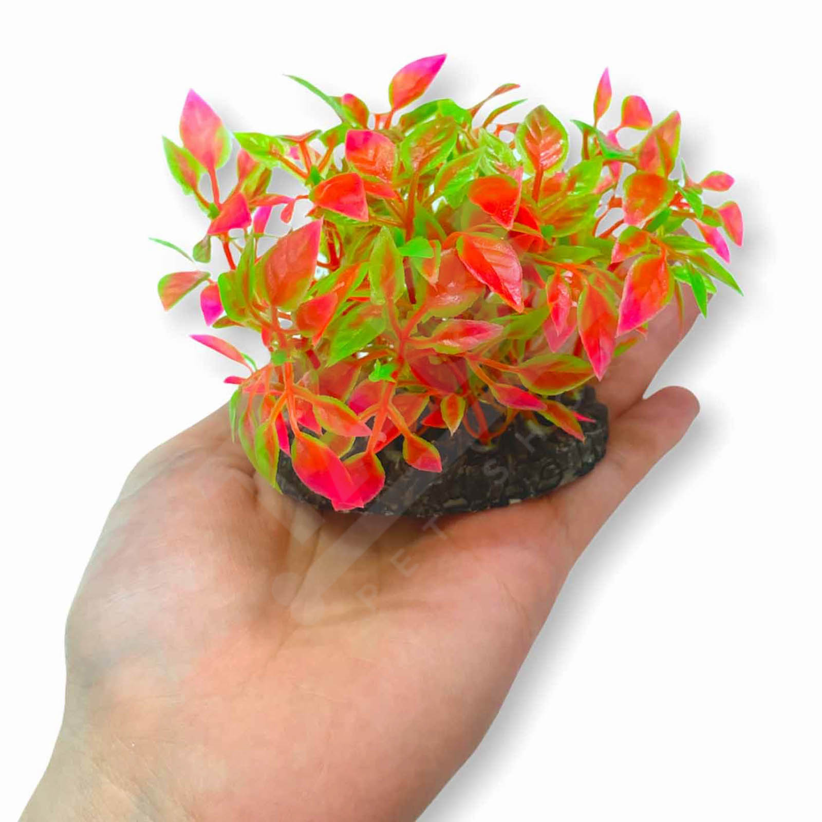 Cây Nhựa Mô Hình Trang Trí Hồ Cá SIZE MINI [CÂY TRÒN MINI]