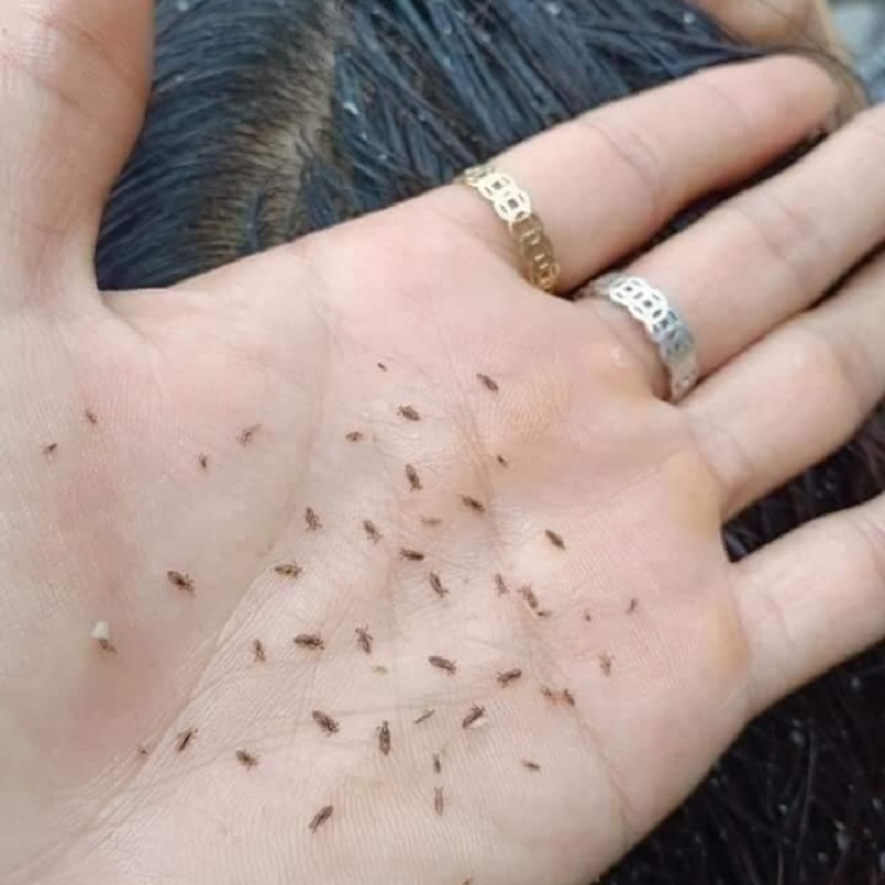 RƯỢU Ủ CHẤY GIA TRUYỀN