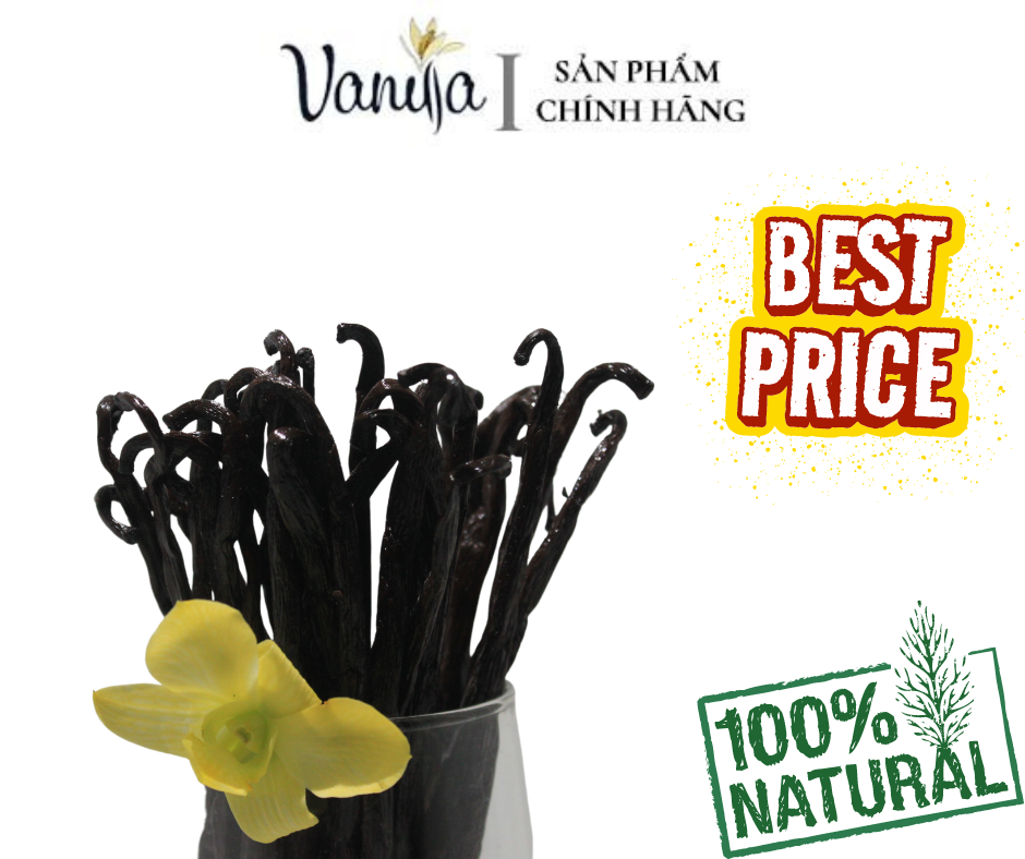 Quả Vanilla Madagascar Thượng hạng (SET 25 GRAMS)