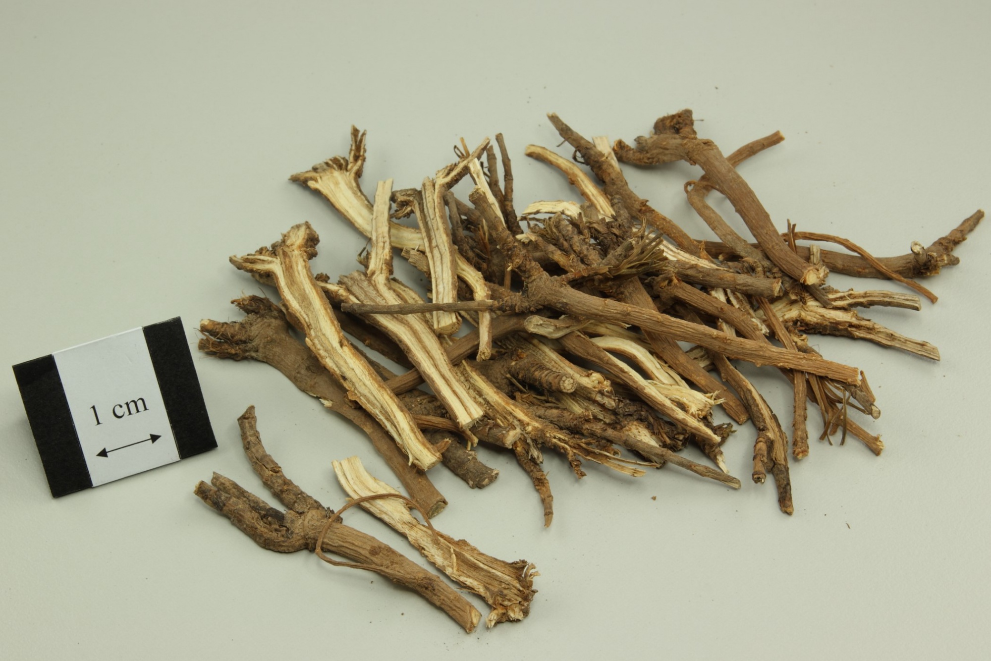 Sài Hồ Bắc 100 g - Chai Hu