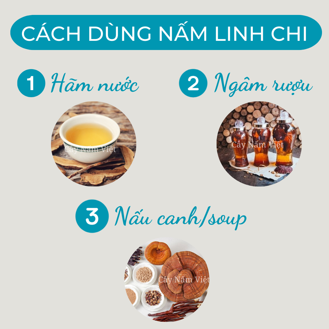 Nấm linh chi đỏ cao cấp CNV 250g (Xích chi Việt Nam)