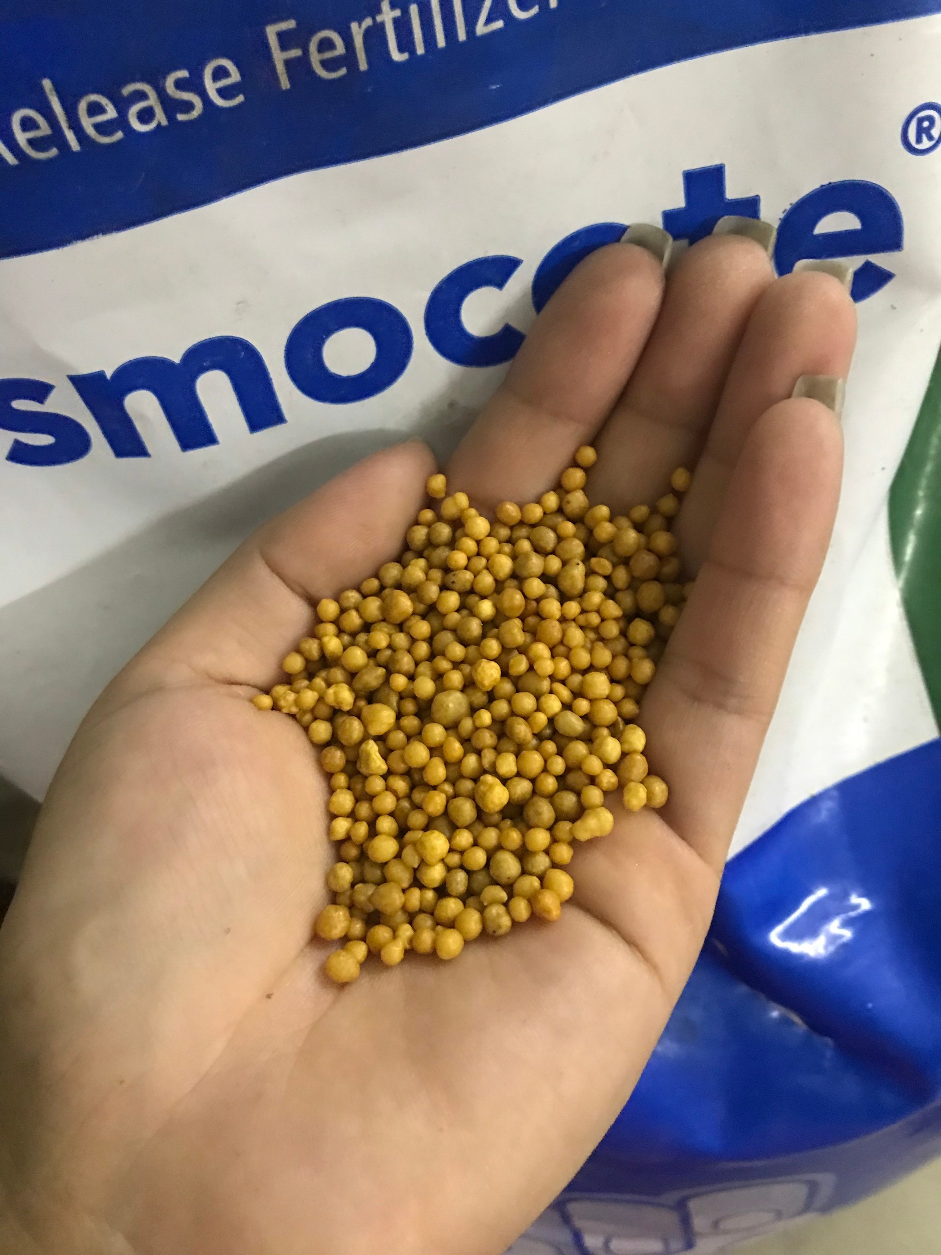 Phân vàng Osmocote 14-14-14 tan chậm 200gr