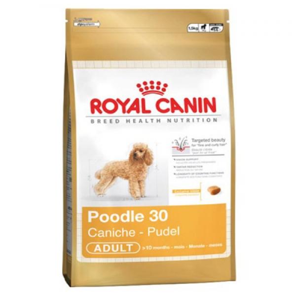 Royal Canin Poodle 500g - Thức ăn hạt cho chó
