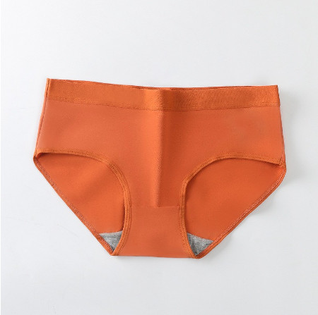 Combo 10 quần lót nữ cotton kháng khuẩn mềm mại viền chun nữ tính mã a06