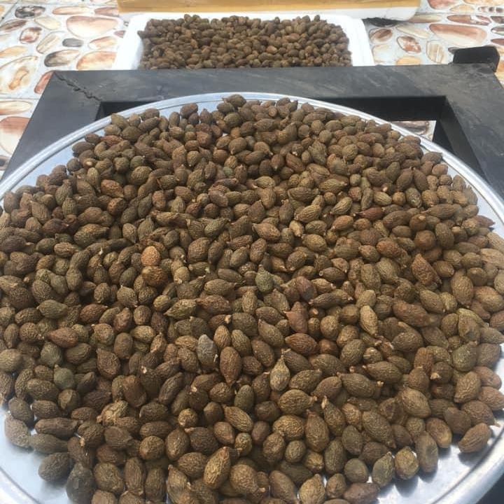 Hạt Đười Ươi Bay 0.5kg
