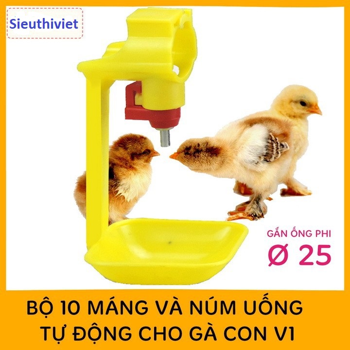 Combo 10 bộ Máng và núm uống tự động cho gà
