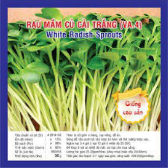 Hạt giống rau mầm củ cải trắng gói 50 gram