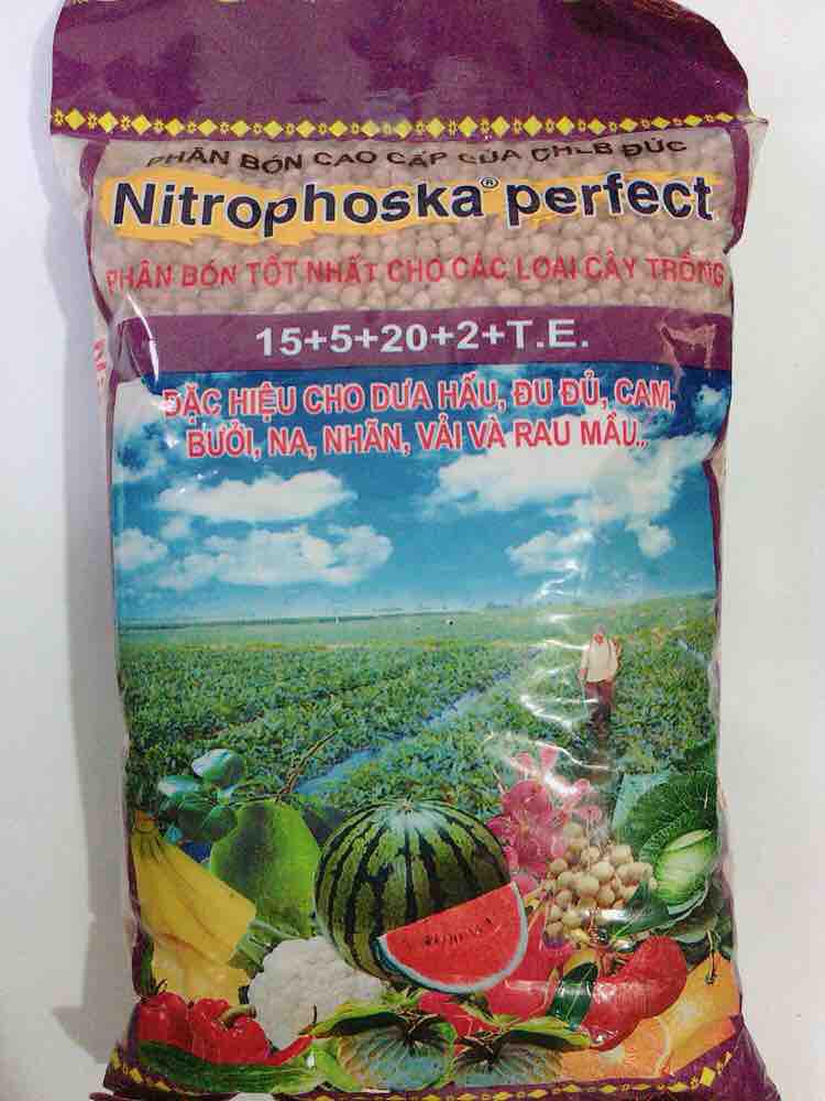 Phân bón NK Đức Nitrophoska 15-5-20 +TE chuyên dung cho cây hoa, cây ăn trái