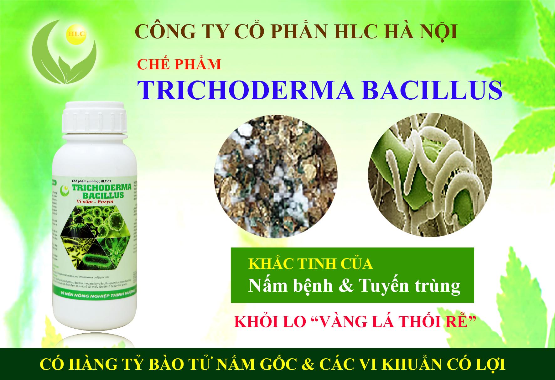 [HCM]Chế phẩm sinh học TRICHODERMA BACILLUS tiêu diệt các loại nấm hại 500ml-76112