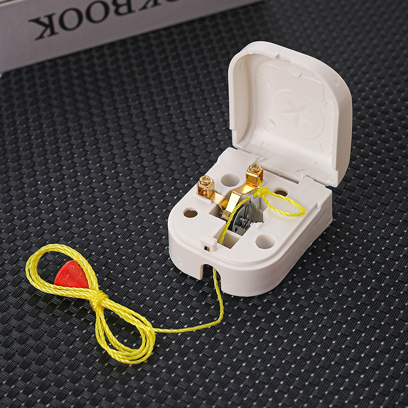 6A load pull cord switch