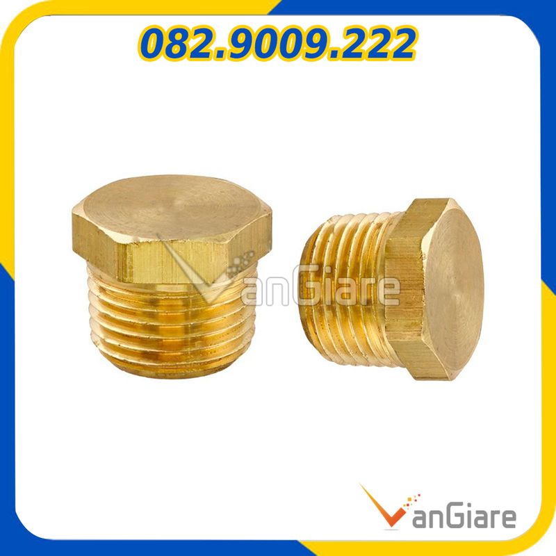 Nắp bịt ren ngoài - nút bít ren ngoài - bít thau ren ngoài 9.6 13 17 21 27 34