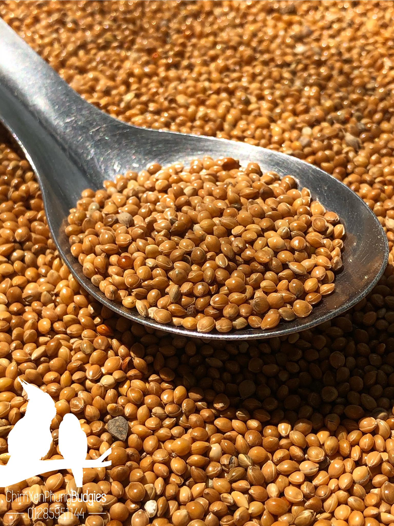 COMBO KÊ ĐỎ & KÊ VÀNG (mỗi thứ 1kg) đa công dụng.
