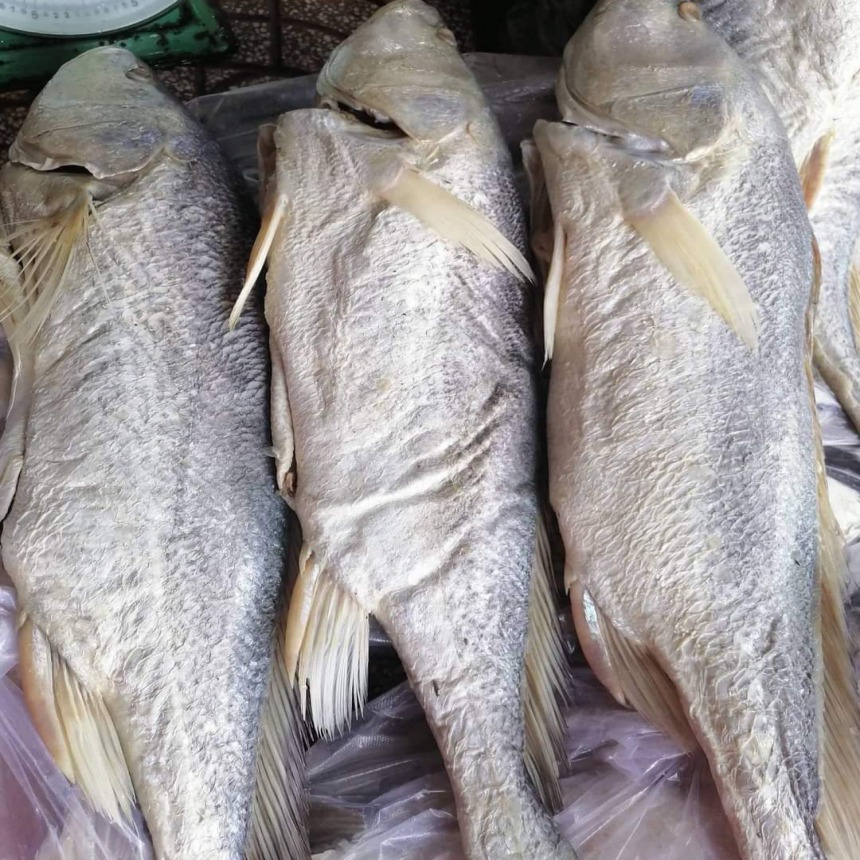 1KG ,mắm cá ốp, mắm cá sửu, mắm cá mặn, thịt Cá sửu ít xương, không có xương vụn, thịt ngon, ngọt làm được nhiều món, khô ngon Thoại Sơn