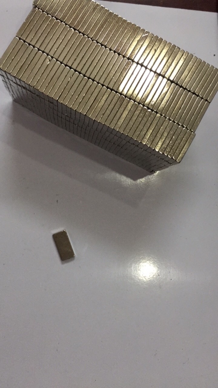 Electric Bicycle Magnets 20X10X3 (Set of 10 Pieces)