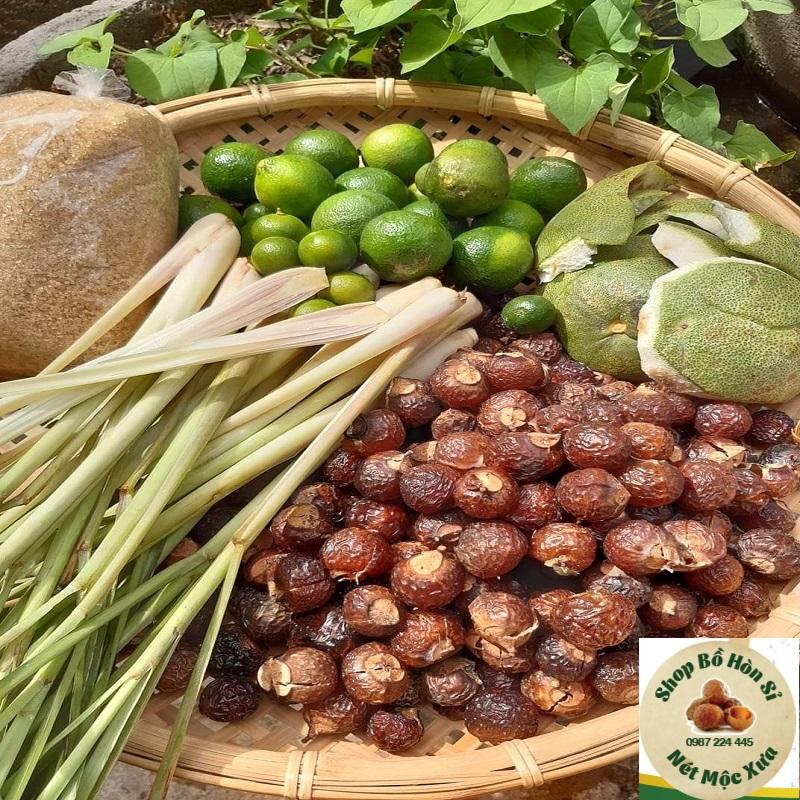 Combo 2kg bồ hòn tách hạt tặng 100g bột bồ hòn