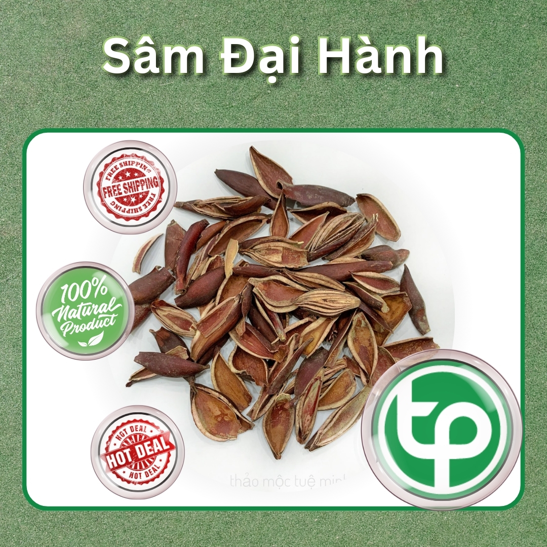 [New Arrivals] Dried Ginseng Root 500g - Tan Phat Herbal - Specialized in Making Tea and Brewing Drinking Water