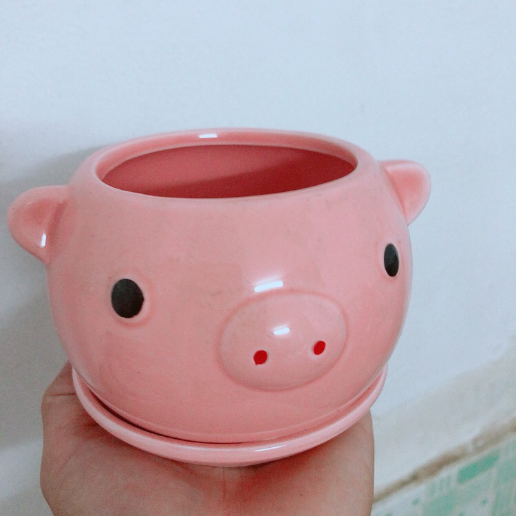 Chậu Trồng Cây Hình Thú Ngộ Nghĩnh