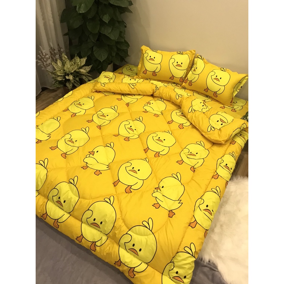 [ SIÊU SALE ] Chăn phao poly m8x2m mền siêu nhẹ