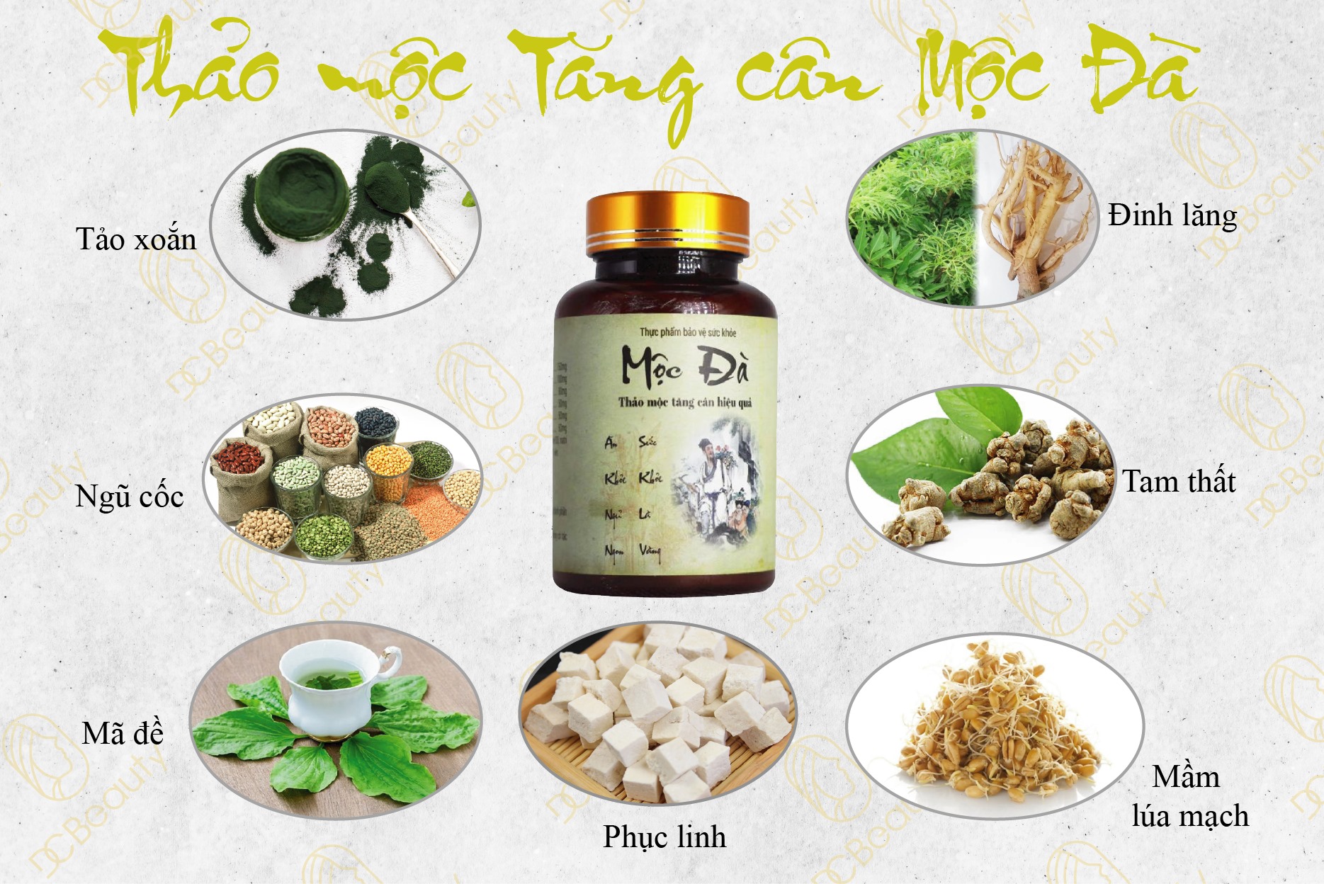 [Chính Hãng] Thảo mộc Tăng Cân Mộc Đà (Chính Hãng Độc Quyền 100%)( Hộp 60v)- Minh Khang Pharma 1
