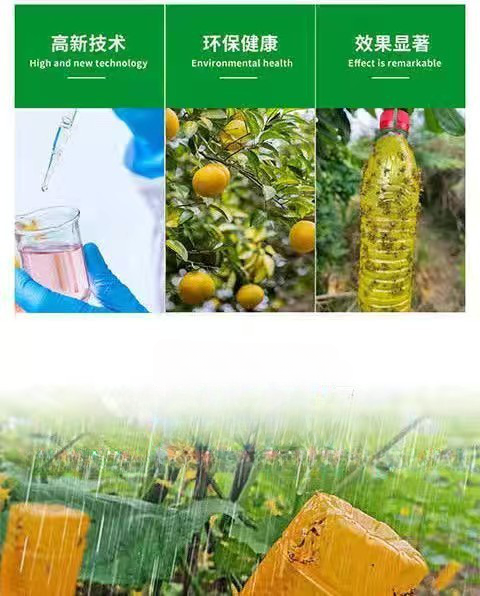 Keo xịt ruồi vàng, côn trùng
