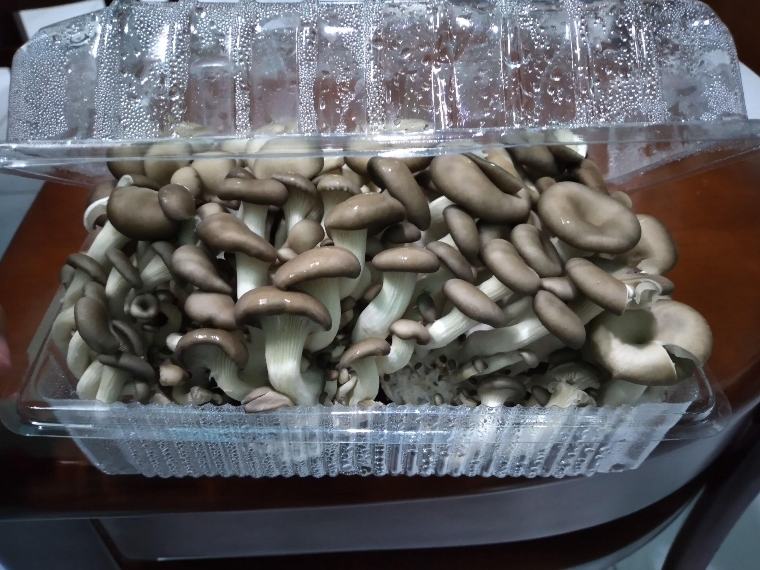 [HCM]Nấm Tiểu Yến tươi 300g