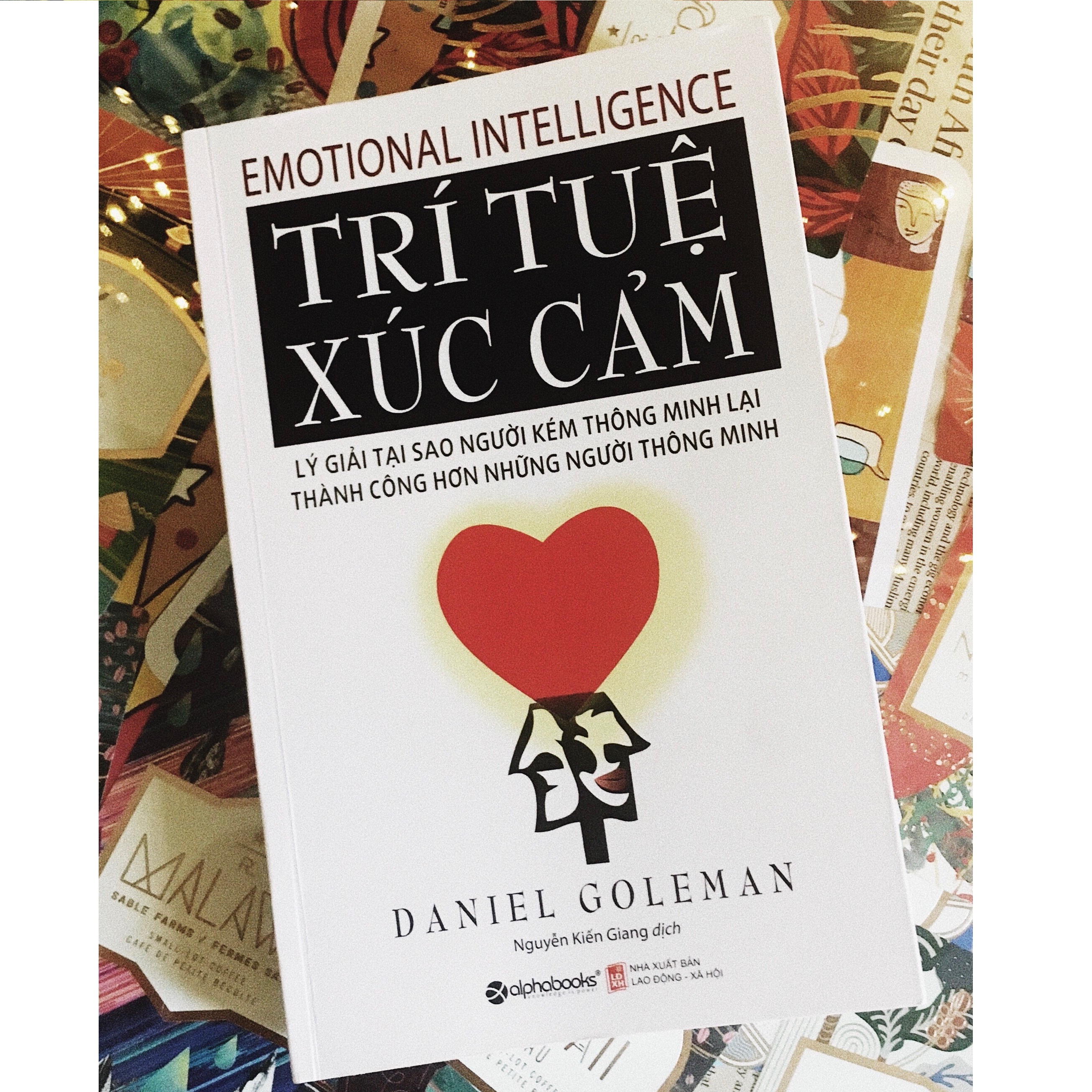 Sách - Trí tuệ xúc cảm