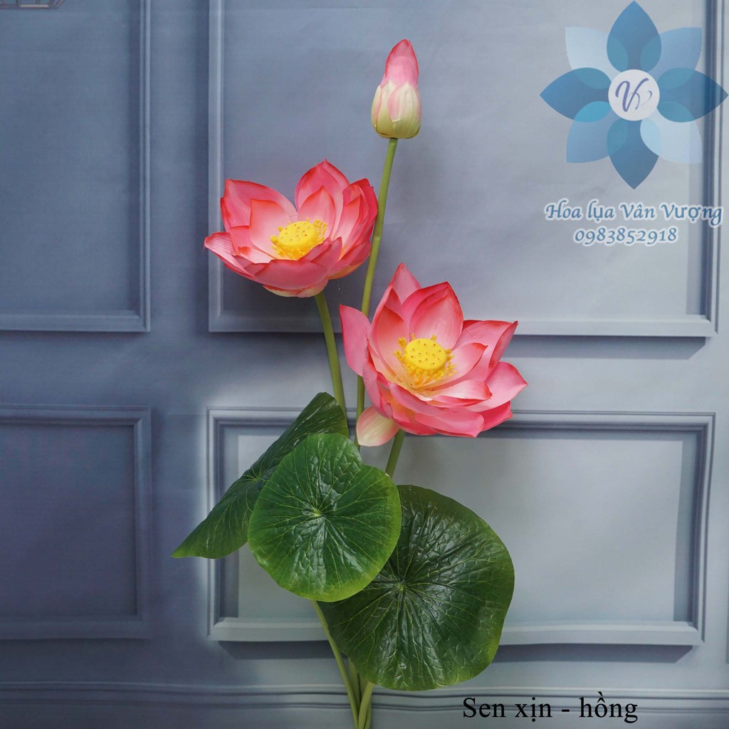 Hoa Lụa 🌺FREESHIP🌺 Hoa Sen Giả Trang Trí
