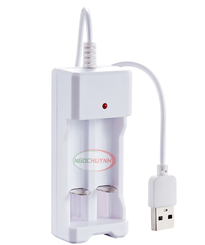 Bộ sạc 2 khe pin AA/AAA đa năng đầu USB