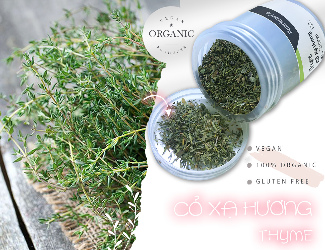 THYME – LÁ THƠM XẠ HƯƠNG 10gr