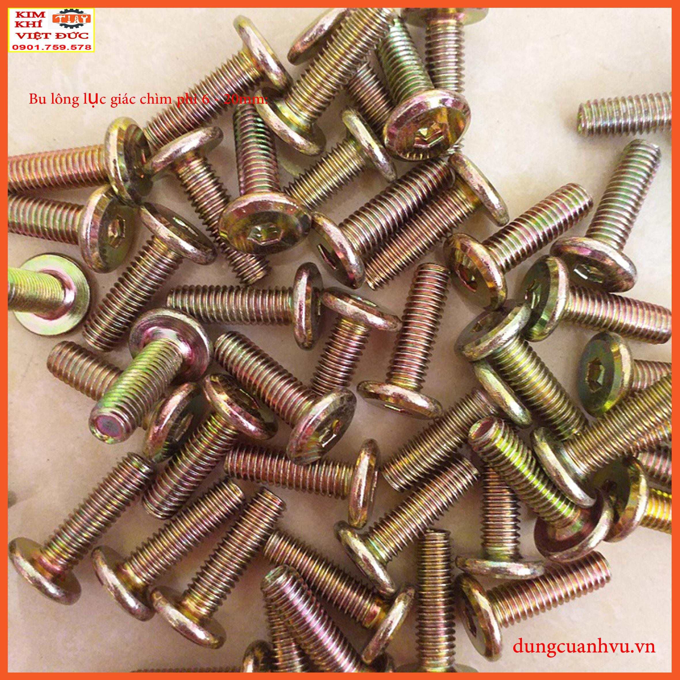 Bu lông lục giác chìm 6-20mm x 100 con